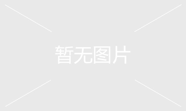 案例展示一